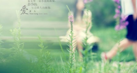成都婚介所高端红娘分析相亲恋爱后遭遇冷淡的原因