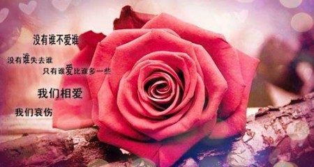 成都单身男士婚介所征婚相亲最影响成功率的几种行为