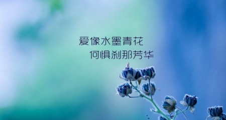 是什么让单身对成都百和情缘婚介所产生了信赖感？