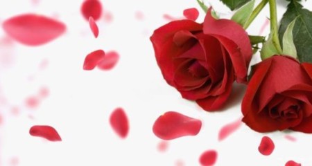 女性学历收入高成脱单难点？成都老牌婚介所用案例来解答