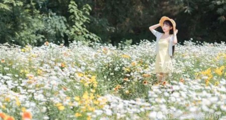成都婚恋网提醒中年女性，请善待自己的婚姻平淡期