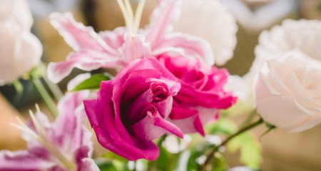 成都正规婚介:女朋友问你在干嘛怎么撩回去?